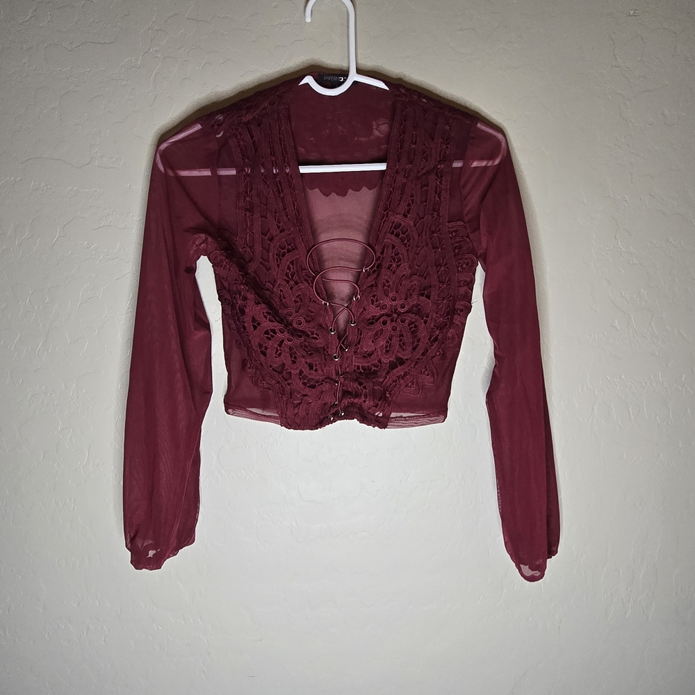 Mesh Crochet Lace Cropped Top Long Sleeve Burgandy Whimsigoth Dark Romantic Sexy